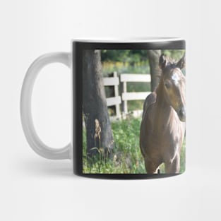 TB COLT Mug